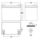 Carbest Deep-Cycle AGM Power Line Batterie 60Ah Servicebatterie für Reisemobile