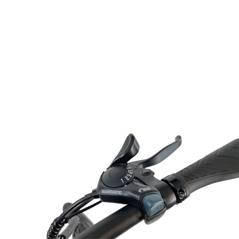 Blaupunkt HENRI 20" E-Faltrad Schwarz Shimano 6-Gang E-Bike Fahrrad Klapprad