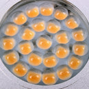 Einbauspot 24 LED-Deckenleuchte 12v, 220lm, Ø65x11mm – ProPlus